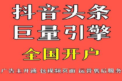百度竞价广告运营全解析：成功案例揭秘